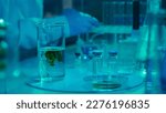 The green powder dissolves and spreads in a cloud in a glass flask with a clear liquid. Chemical reaction. Chemical reaction. Vials with vaccines and test tubes on the table. Blue light. Close up.
