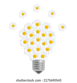 Green Power Concept: Lightbulb Shape Made From Daisies Isolated On White.