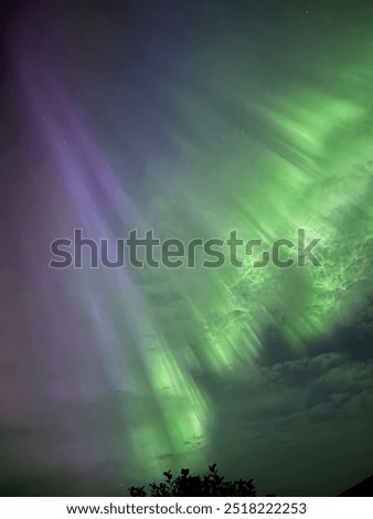 Similar – Image, Stock Photo northern lights, norway