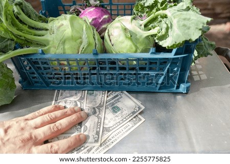 Green and purple kohlrabi in a blue box stands on a metal counter. Nearby are dollars of retail denomination. A hand lies on top of the banknotes



