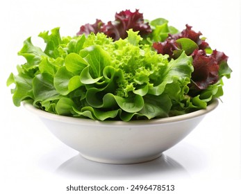 green and purple lettuce leaves on a plate on a white background - Powered by Shutterstock