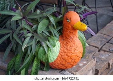 Orange Purple Duck Hd Stock Images Shutterstock