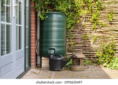 A green rain barrel to collect rainwater and reusing it to water the plants and flowers in a backyard with a wattle fence made of willow branches on a sunny day