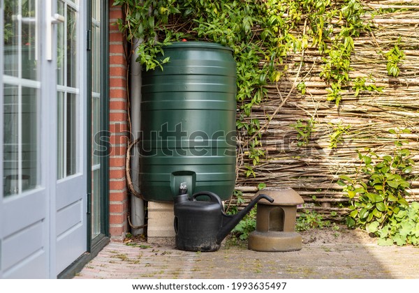 A green rain barrel to collect\
rainwater and reusing it to water the paints and flowers in a\
backyard with a wattle fence made of willow branches on a sunny\
day