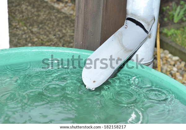 Green recovery of\
rainwater in a garden.