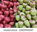 Green and red fresh Cashew fruits directly above view