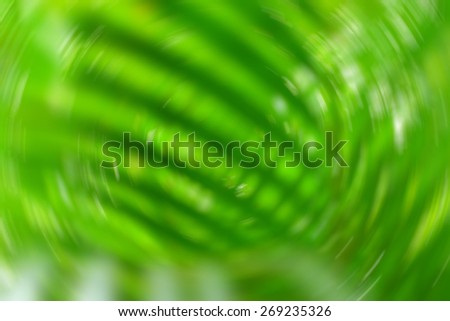 Image, Stock Photo flytrap III Plant