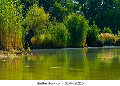 56,556 Humid environment Images, Stock Photos & Vectors | Shutterstock