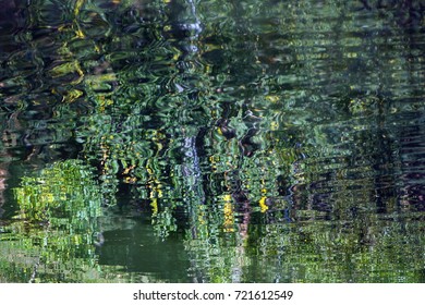 green reflection background