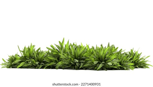 green ribbed plantain, plant, beautiful floral background, 3d render - Shutterstock ID 2271400931
