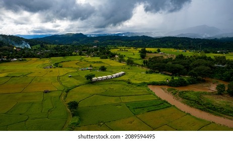 Green Rice Farm Top View