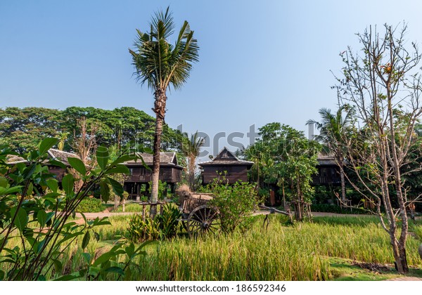 Green Rice Field Villa Built Rice Stock Photo Edit Now 186592346