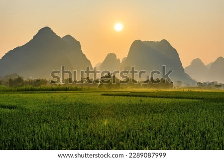Green rice fields and mountain natural landscapes at sunrise in Guilin, Guangxi, China.