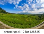 Green rice fields on terraces in mountain valley. beautiful natural landscape in rainy season. agriculture industry stock photo