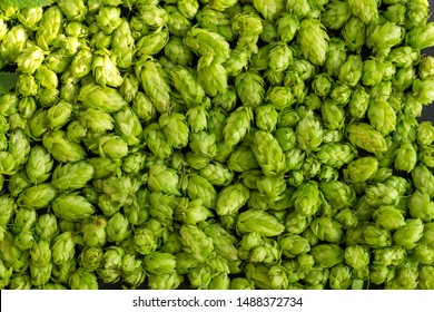 Green ripe hop cones for brewery and bakery background pattern. - Shutterstock ID 1488372734