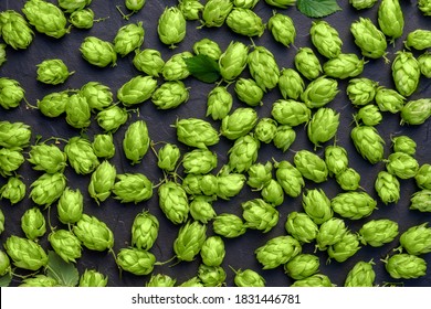 Green Ripe Hop Cones And Leaves For Brewery And Bakery Background Pattern.