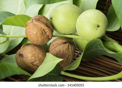 Green And Ripe Walnuts. Walnut Leaves