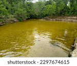 green river at the forest