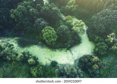 Green River In The Forest. Aerial Photography