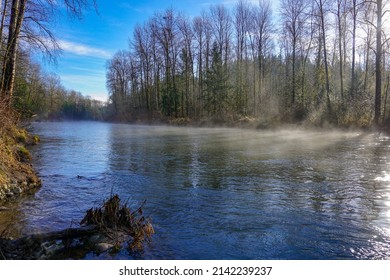 Green River Natural Area, King County, Washington State, USA