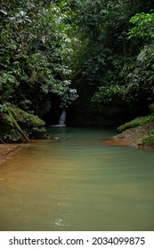 Green River With Trees In The Colombian Forest
