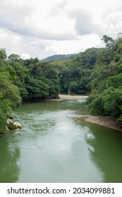 Green River With Trees In The Colombian Forest