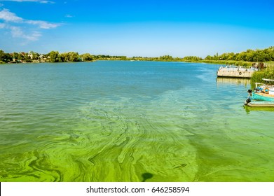 Green River Waters With Algal Bloom