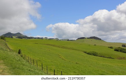 Green Rolling Fields In Hawaii 