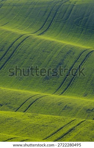 Green rolling fields of Moravia showing an abstract pattern of agricultural cultivation