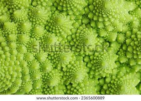 Green romanesco cauliflower vegetable close-up