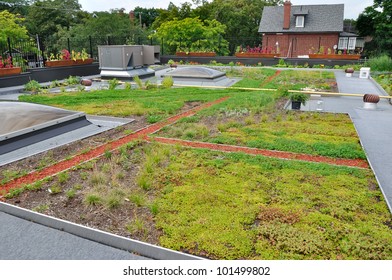 Green Roof On Urban Building