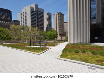 Green Roof On Urban Building With Office Towers In Background