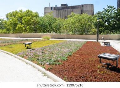 Green Roof On Urban Building