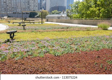 Green Roof On Urban Building