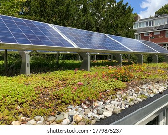 Green Rooftop With Sedum And Solar Panels