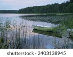 Green rowboat tied at a reed-lined lakeshore during a tranquil dusk, reflecting serene Scandinavian nature