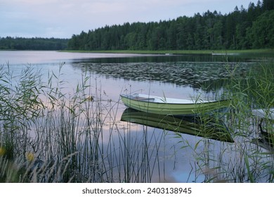 Green rowboat tied at a reed-lined lakeshore during a tranquil dusk, reflecting serene Scandinavian nature - Powered by Shutterstock