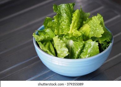 Green Salad Cos Romaine Lettuce Sliced In Blue Bowl