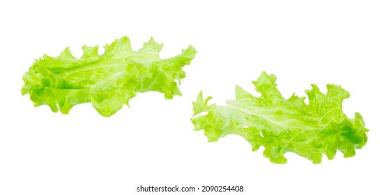 Green salad leaves isolated on white background. Hamburger salad leaves isolated on white - Shutterstock ID 2090254408