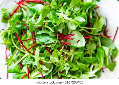 Cress lettuce Images, Stock Photos & Vectors | Shutterstock