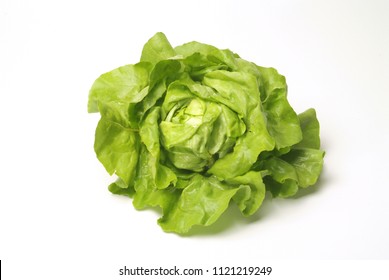 Green Salat Isolated 