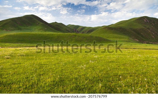 green\
savanna mountain in Tibet - Qinghai province,\
China