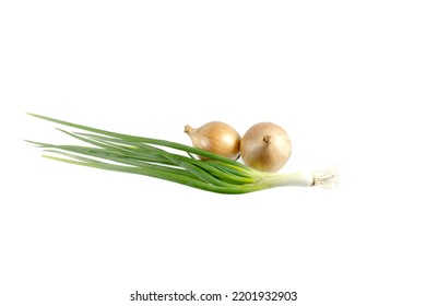 Green Scallions Bunch And Onion Bulbs Isolated On White Background