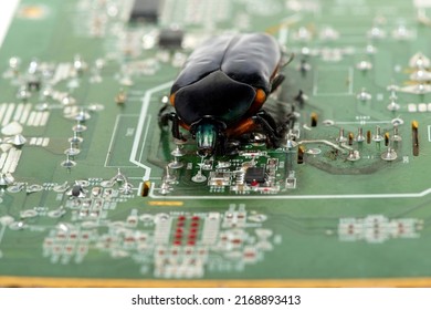 green scarab on the electronic circuit board, Internet Threat Concept