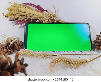 La pantalla verde este