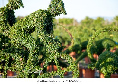 Green Sculpture Of Horseman In A Garden (topiary Art)