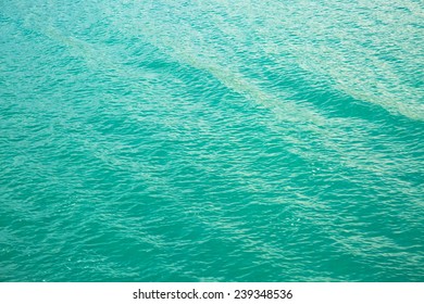 Green Sea Surface In Windy Day