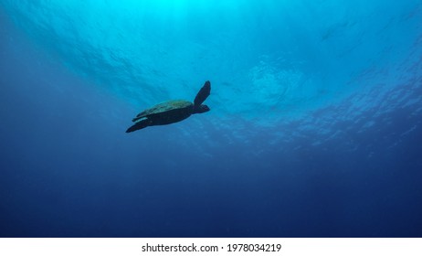 2,032 Murky ocean Images, Stock Photos & Vectors | Shutterstock