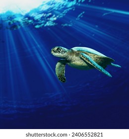 Green sea turtle in under water swimming. - Powered by Shutterstock