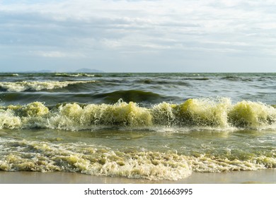 Green Sea Waves Are Caused By The Plankton Bloom Phenomenon.